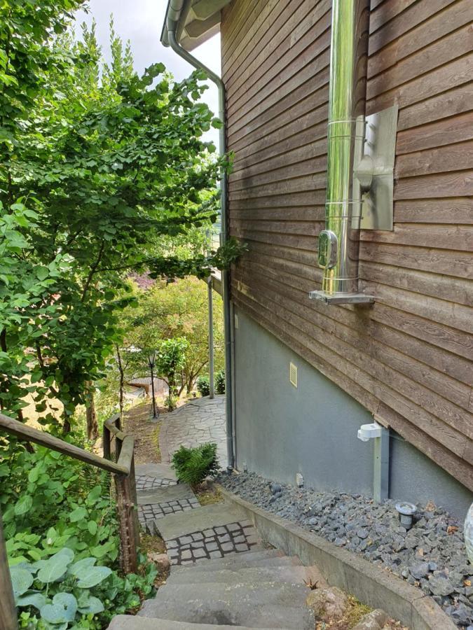 River Mosel Holiday Homes, Meerfeld Studio With A Lake View Kültér fotó
